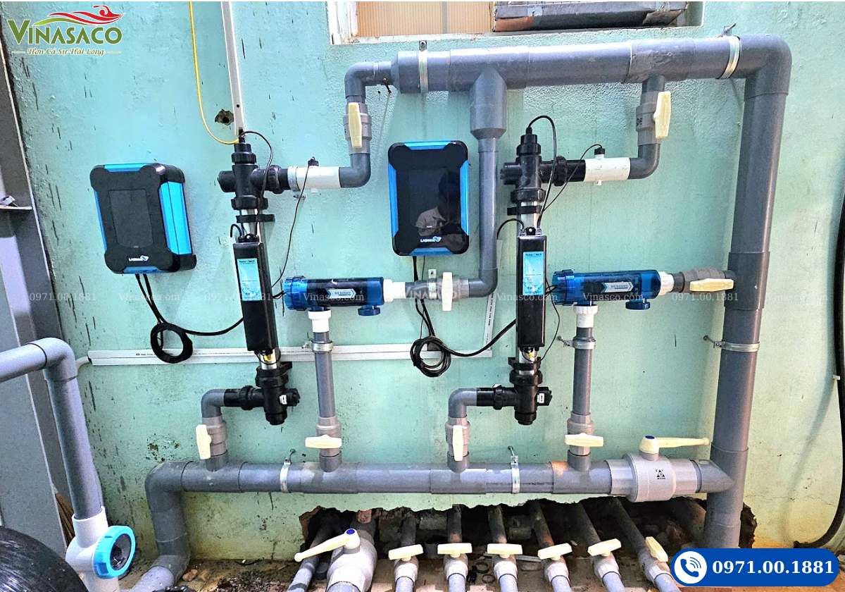 Hệ thống khử khuẩn điện phân muối kết hợp UV