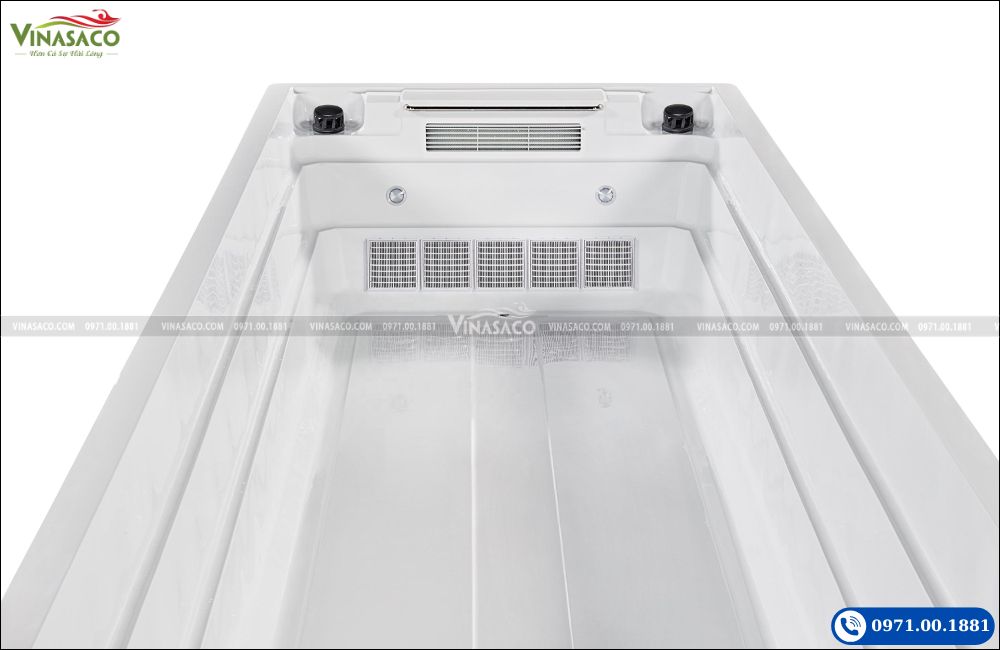Đầu bơi ngược dòng trên Bể bơi thông minh Jacuzzi WS-130CIII