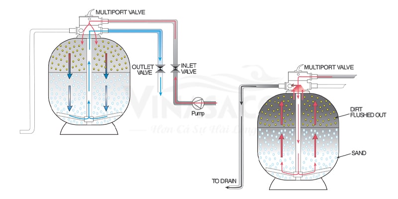 Mô phỏng công nghệ lọc sâu của bình lọc bể bơi Waterco