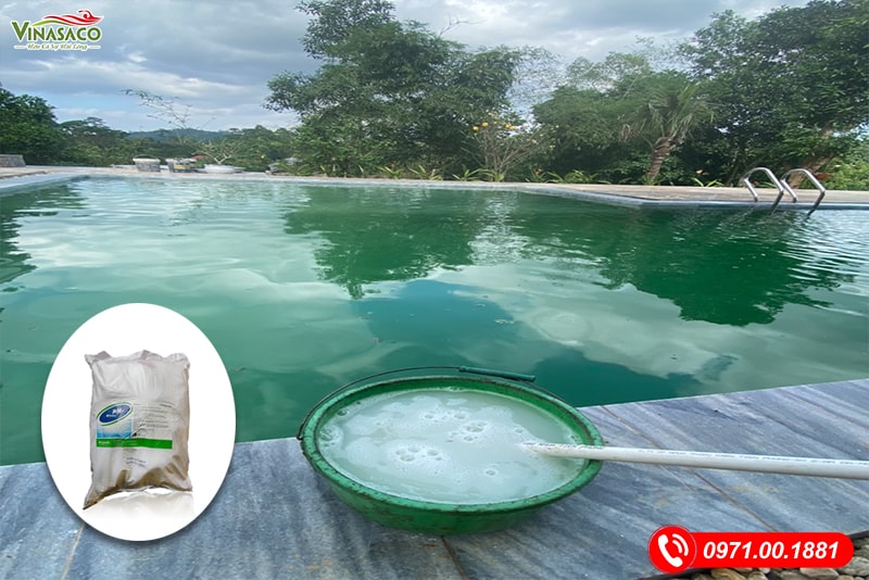 Pha hóa chất thành dung dịch và tiến hành rải đều trên toàn phạm vi bể bơi