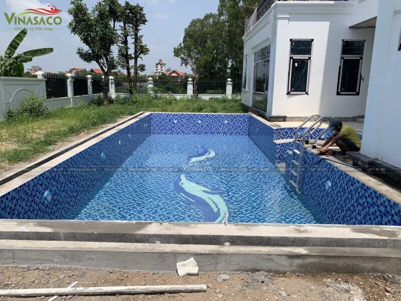 Bể bơi gia đình với kiểu dáng chữ nhật truyền thống, ốp gạch cá heo sinh động