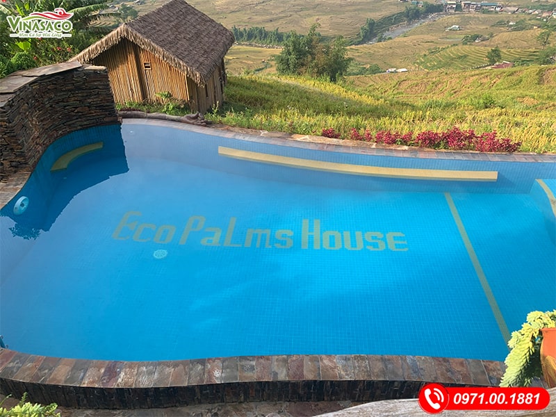 Bể bơi Sapa Eco Palm House