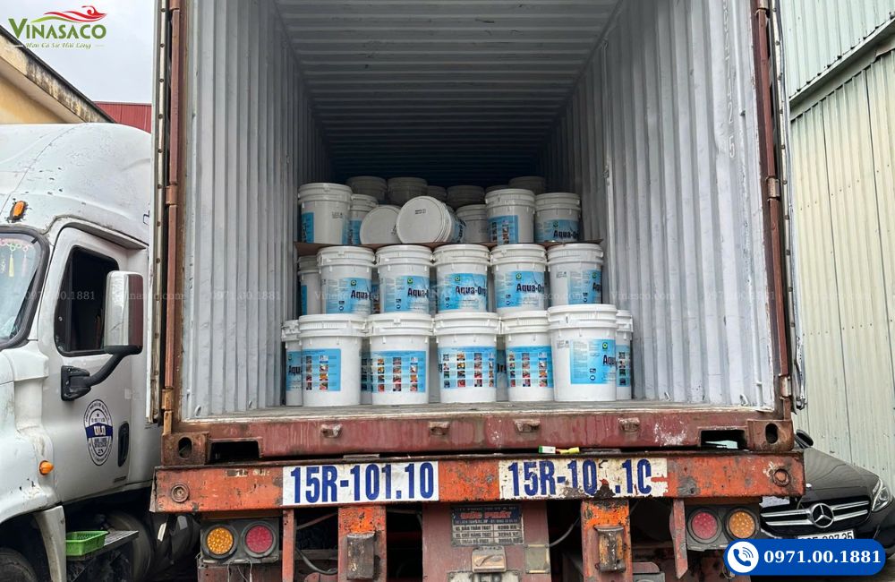 Vinasaco nhập khẩu Chlorine Ấn Độ ORG