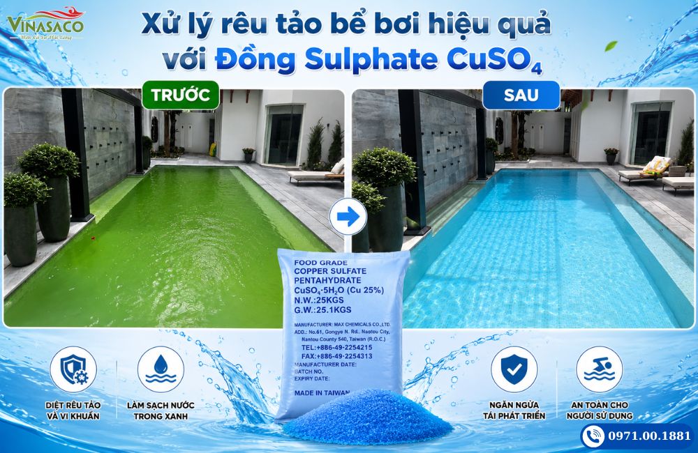 Bể bơi trước và sau khi xử lý rêu tảo bằng Đồng Sulphate CuSO4
