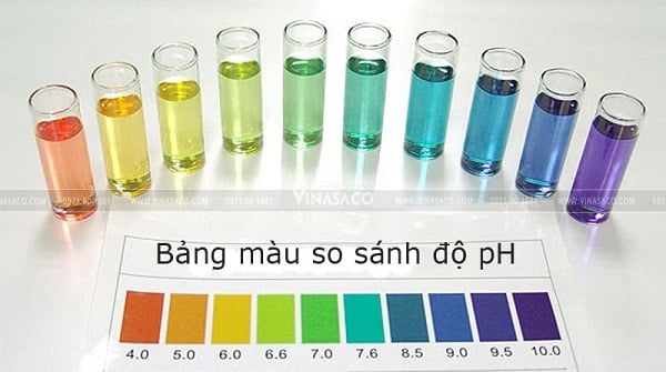 bảng màu so sánh độ pH trong nước bể bơi