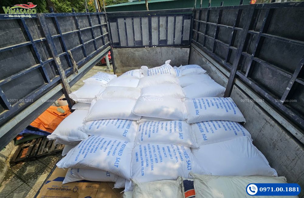 Muối tinh khiết bể bơi nhập khẩu bởi Vinasaco