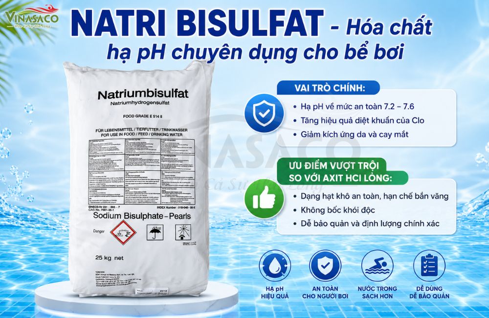Natri Bisulfate hóa chất giảm pH chuyên dụng cho bể bơi