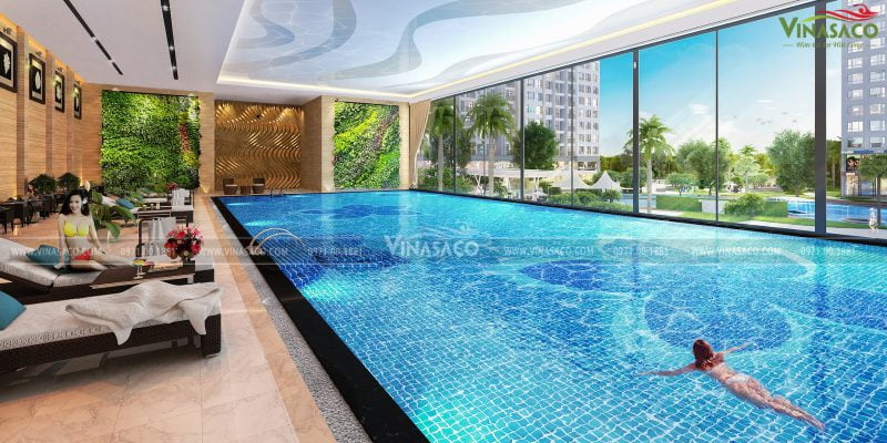 mẫu thiết kế bể bơi kinh doanh