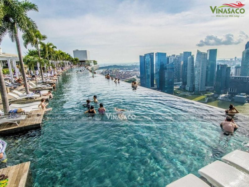 Mẫu thiết kế bể bơi kinh doanh chuyên nghiệp