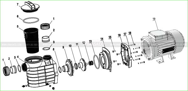 Cấu tạo máy bơm bể bơi Minder MXB