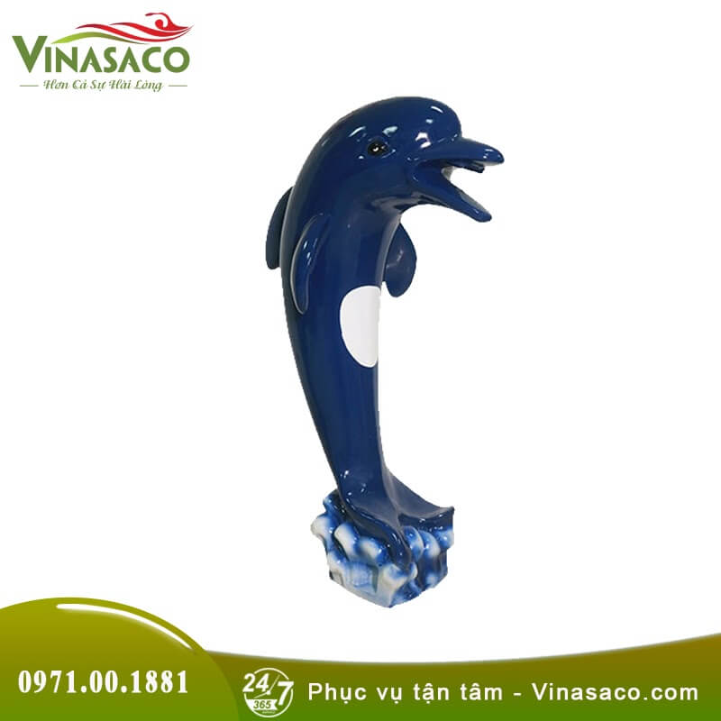 Cá heo phun nước bể bơi