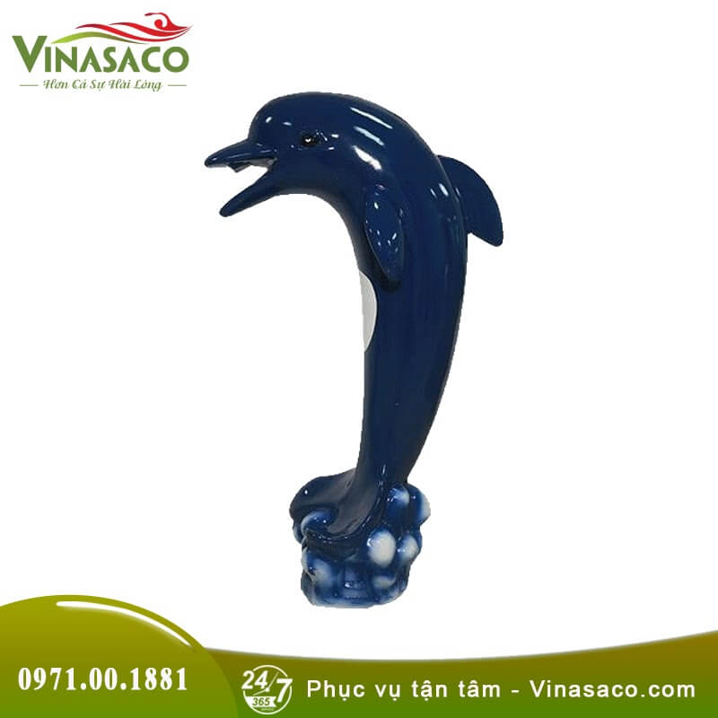 Cá heo phun nước bể bơi