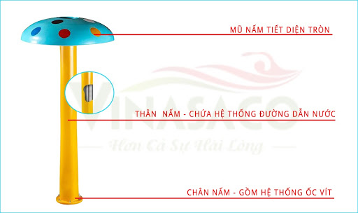 Cấu tạo nấm phun nước bể bơi