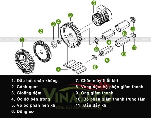 Vẽ mô phỏng các thành phần của khí