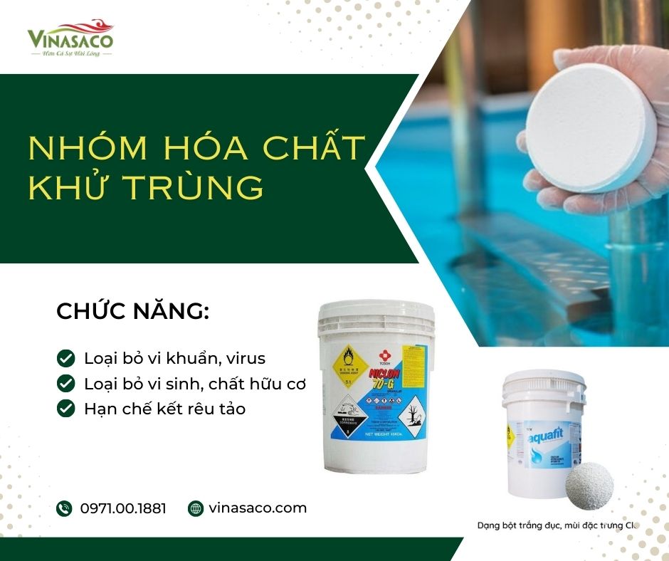 Nhóm hóa chất khử trùng bể bơi